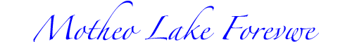 logo_mlf