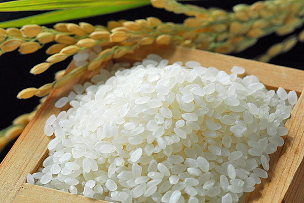 Rice "okome"